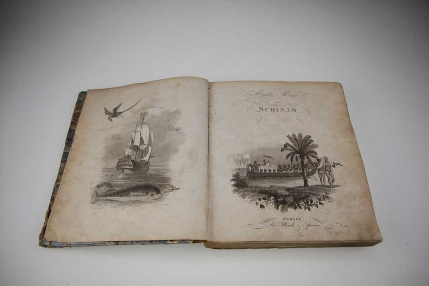 Foto eines beschädigten Buches aus dem Jahr 1821: Sack, Albert von: Beschreibung einer Reise nach Surinam … Abth.1 und 2. Berlin: Haude und Spener 182. Signatur: GG15/5325-1/2. Die Projektnummer lautet 2022/0021