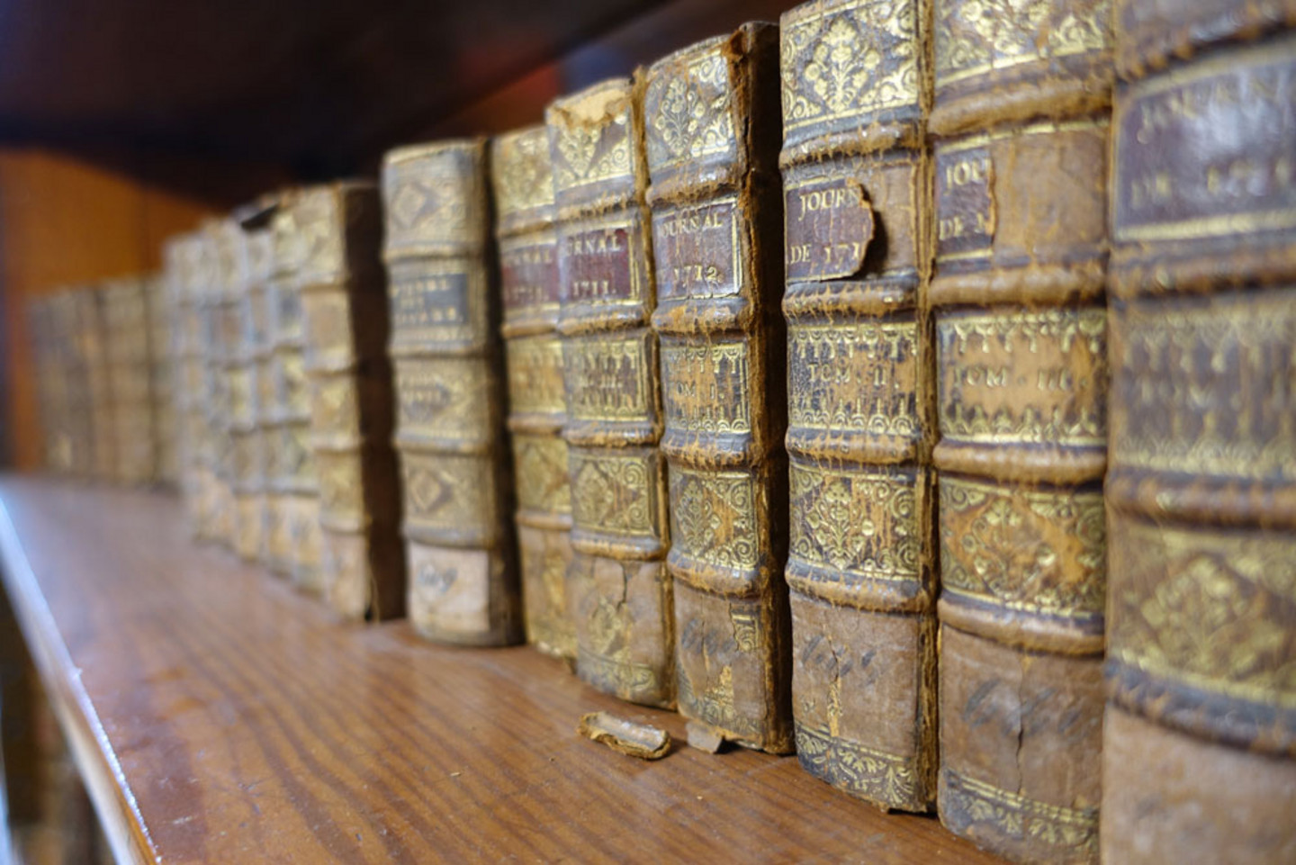 Detailansicht eines Bücherregals mit über 20 alten Bänden, die alle einen einheitlichen Ledereinband mit Goldprägung haben.