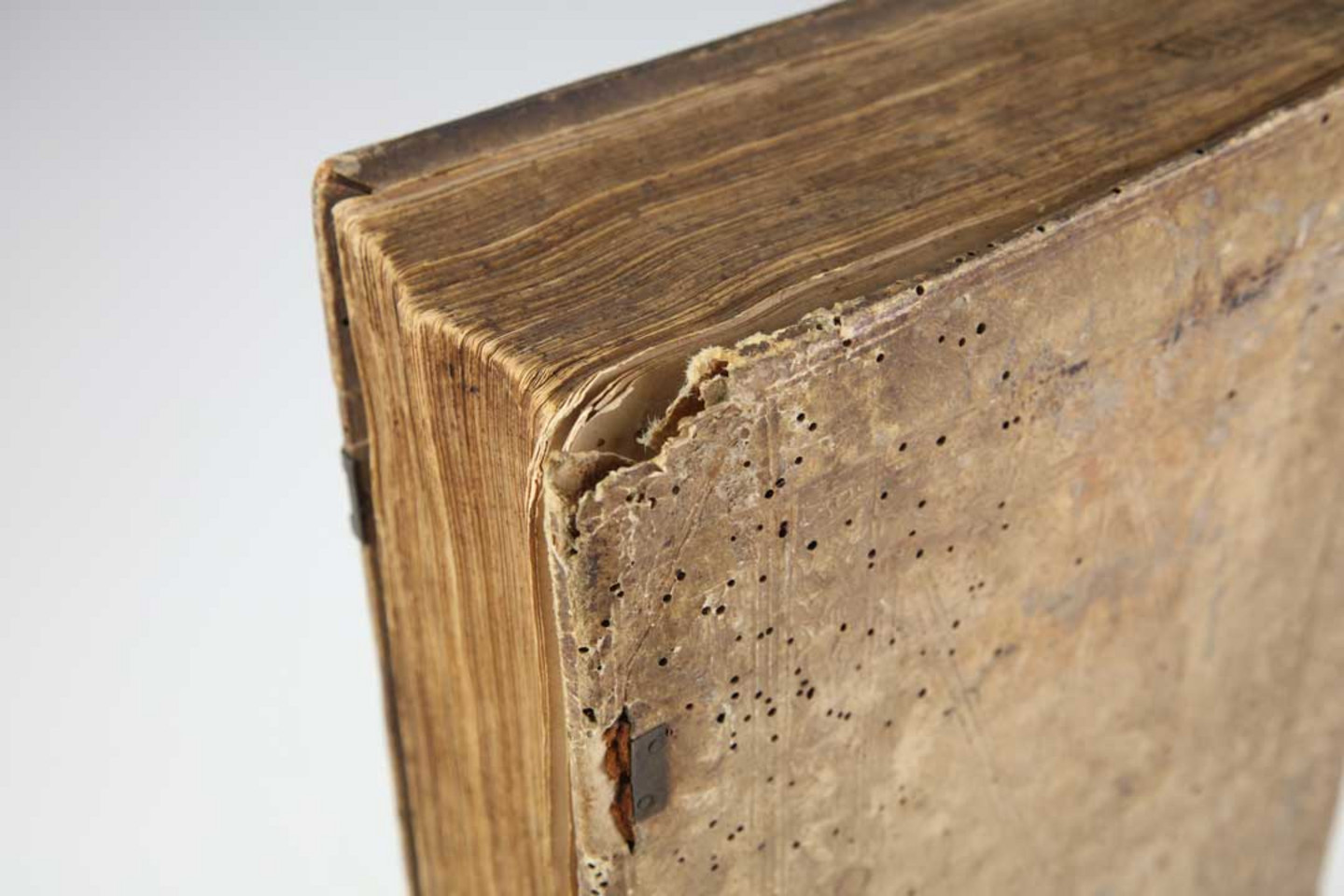 Foto eines beschädigten Buches aus dem Jahr 1509: Boccaccio, Giovanni: Decamerone <dt.> Cento novella, das Buch der hundert nüwen Historien, Straßburg: Grüninger 1509. Signatur: AD+S762