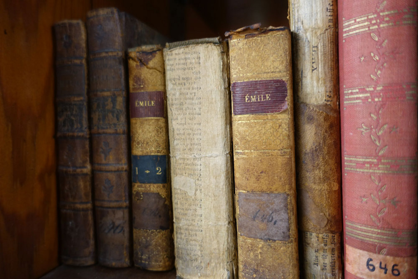 Detailansicht eines Bücherregals mit sieben Büchern, die teilweise keinen Buchrücken mehr haben, so dass nur der Buchblock zu sehen ist. Die restlichen Einbände sind verschiedenfarbig, auf zweien kann man den Titel Emile lesen.